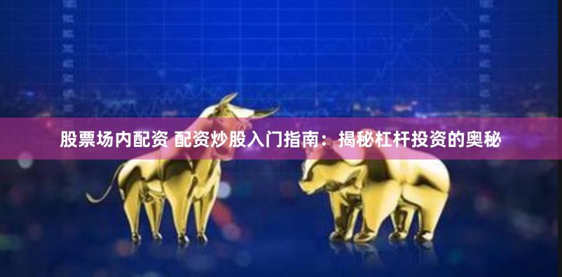 股票场内配资 配资炒股入门指南:揭秘杠杆投资的奥秘
